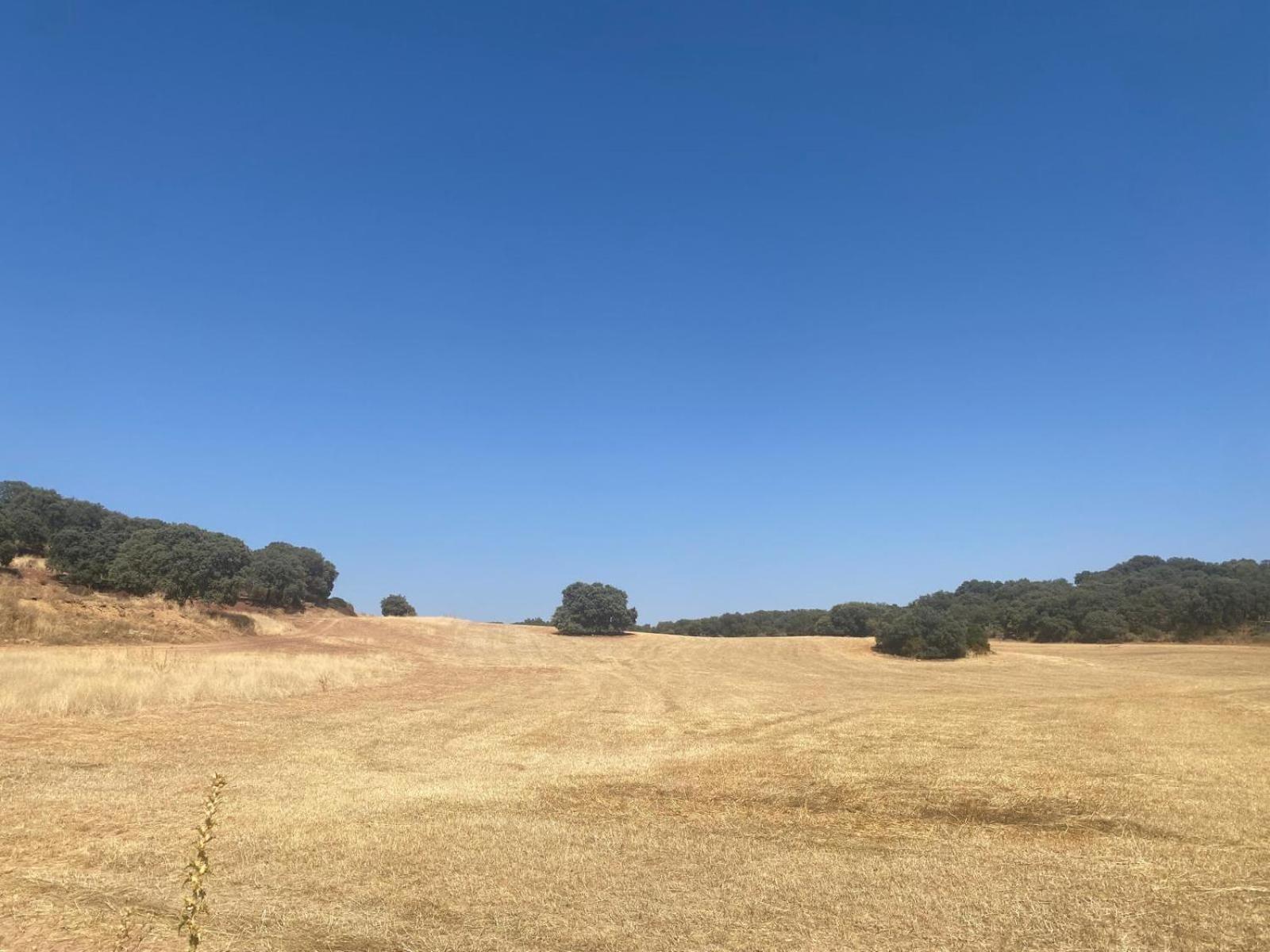 Casa Rural El Contarin - An Andalusian Escape, Archidona, Malaga Eksteriør billede