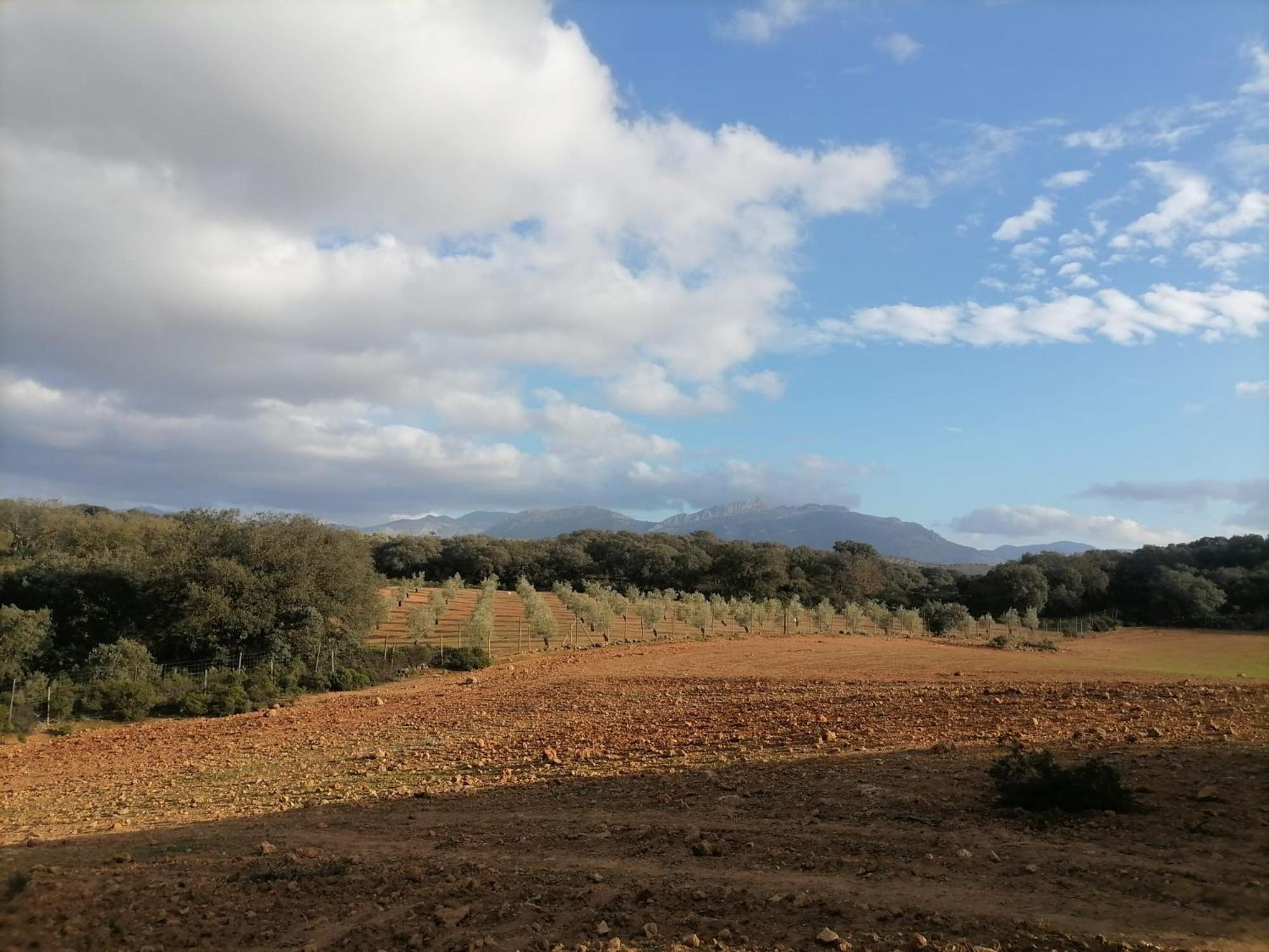 Casa Rural El Contarin - An Andalusian Escape, Archidona, Malaga Eksteriør billede